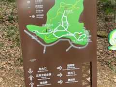 -上海佘山国家森林公园天马山园