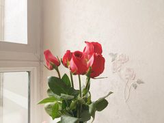 -三圣花乡旅游区