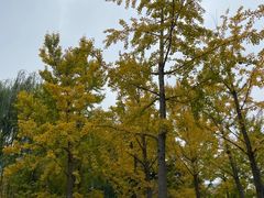 -中国人民抗日战争纪念雕塑园