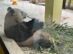 -杭州野生动物世界