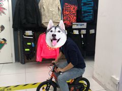 -迪卡侬(湘江路店)