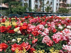 -中国中医科学院西苑医院(本部)