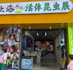 -神奇动物撸宠馆·羊驼·小浣熊·异宠(豫园店)