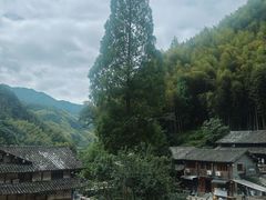 -林坑古村落