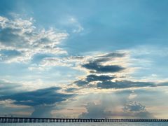 -宝安西湾红树林湿地公园