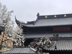 -灵谷景区