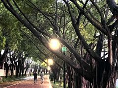 -南宁南湖公园