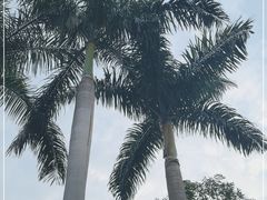 -广州市白云山风景名胜区