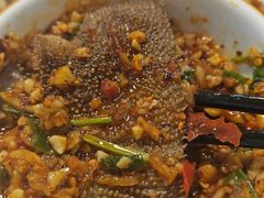 -金鼎雪山牦牛杂火锅(理县总店)