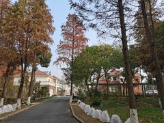 -华西村