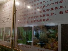 -上海昆虫博物馆