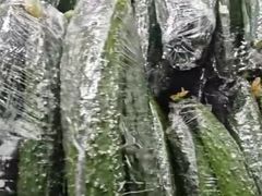 -世纪家家福生活广场(和义店)