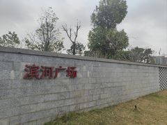 -王借岗森林公园