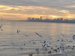 -深圳湾公园(南山区)