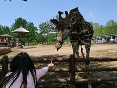 -大连森林动物园