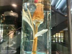 -广东中医药博物馆