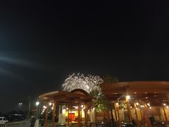 -迪士尼乐园停车场