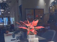 -鹿港小镇(黄金店)