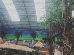 -沈阳龙润夏宫温泉水乐园