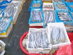 -芦潮港集贸市场