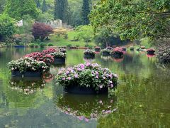 -深圳仙湖植物园