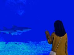 -华夏文旅西安度假区