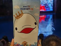 -芜湖新华联大白鲸海洋公园