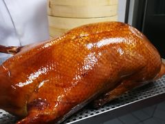 -全聚德(哈尔滨店)