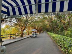 -大湾区中央湿地公园