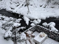 -峡谷浮石林景区