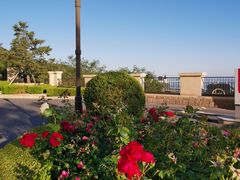 -大堂吧·下午茶·特调鸡尾酒(大连一方城堡豪华精选酒店)