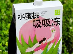 -奈雪的茶(正弘城PRO+店)