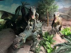 -国家自然博物馆