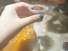 -新草堂锅物料理(泉城路店)