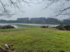 -华侨城湿地公园