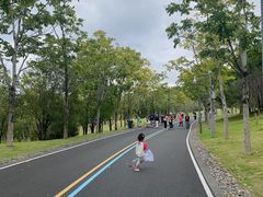 -牛岗山公园