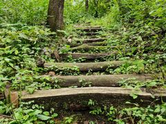 -天女山森林公园