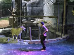 -清迈夜间动物园