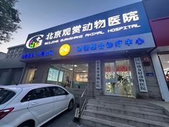 -北京观赏动物医院·24小时大型综合·猫专科·异宠专科