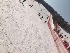 -蓟洲国际滑雪场