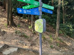 -火炉山森林公园