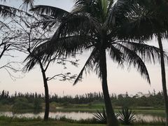 -白沙门生态公园