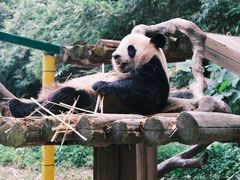 -广州长隆野生动物世界