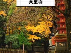 -四明山国家森林公园