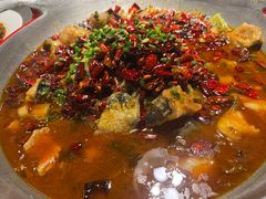 -向川南·水煮鱼·川菜(和平里店)