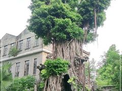-荔湾博物馆