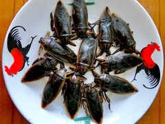 -莫华(锦绣趣园北街店)