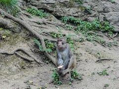 -黔灵山公园