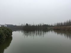 -白鹭湾湿地公园