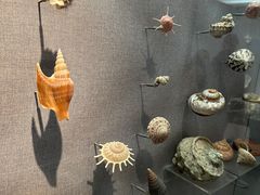 -烟台自然博物馆